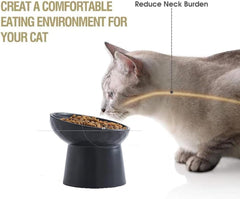 Ceramic Raised Cat Bowls Elevated Porcelain Pet Feeder Dish For Cats And Small Dogs Stress-Free Tilted Pet Food And Water Bowls Set Dishwasher And Microwave Safe