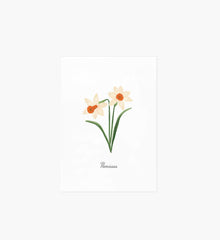 Birth Month Art Print - December