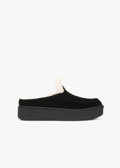 THE SUNNY PLATFORM MULE