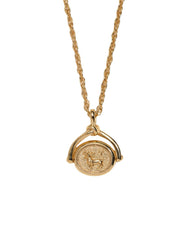 Zodiac Spinner Pendant