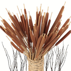 20pcs Realistic Dried Cattail Stems - Natural Brown, Long 17" Bundles for Wedding, Home, Office, Garden Decor - Rustic Floral