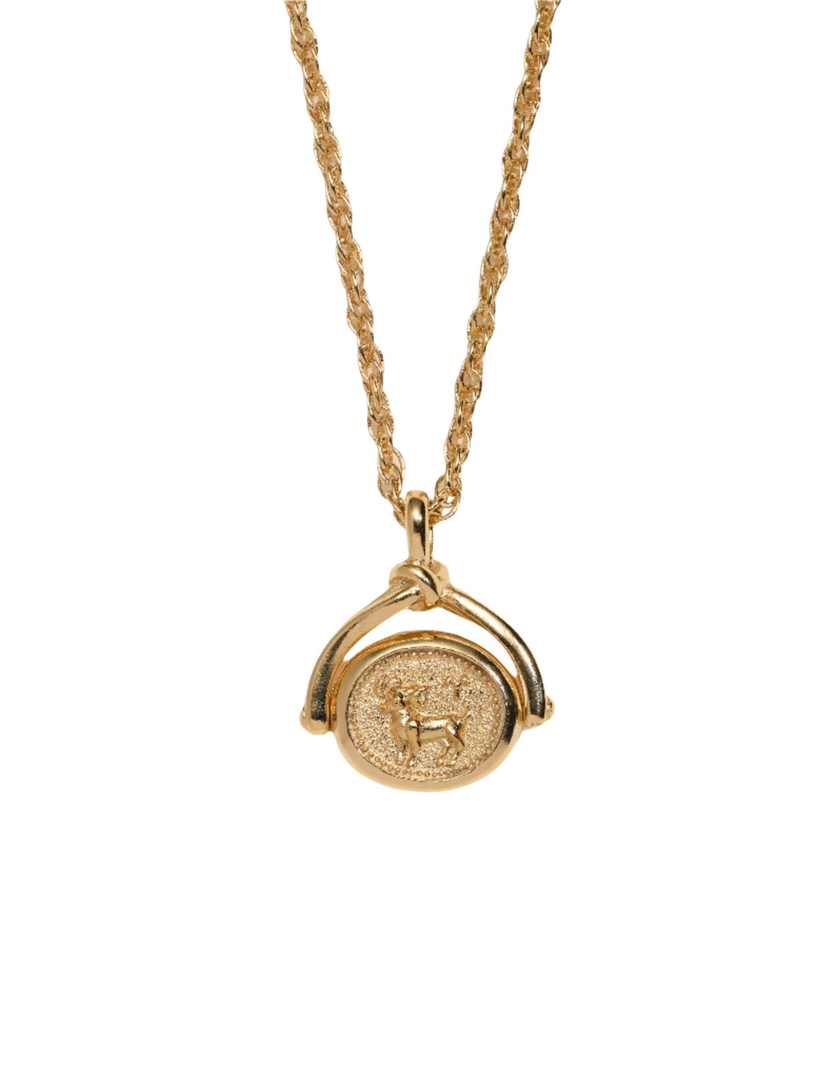 Zodiac Spinner Pendant