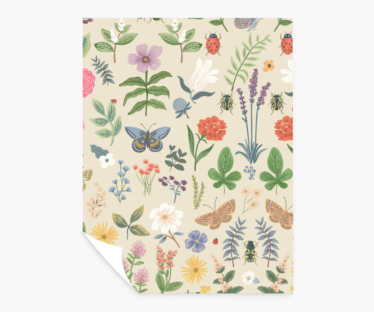 Curio Peel & Stick Wallpaper Sample - Cream